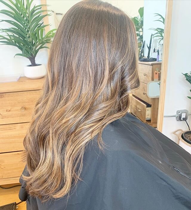 Virgin hair to a beautiful fresh balayage ✨ hair by @sabelbrooke 
Haven Blue Salon
|805|460-9557|
6025 Palma Ave 
Atascadero CA 93422
#havenbluesalon #atascaderosalon #805 #805hairstylist #slolife #slocountyhair #dowtownatascaderosalon #centralcoast